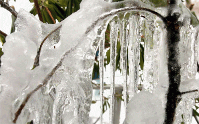 1937: Critical, Prolonged Ice Storms Hit Daviess County, MO