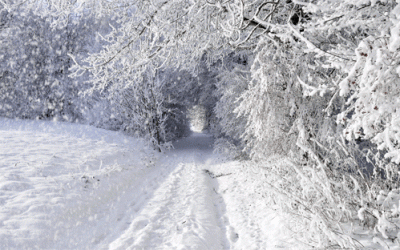 1960: Daviess County’s Unusual ‘Upside Down’ Winter