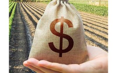 Great Depression: Land Bank Loans in Daviess County, MO