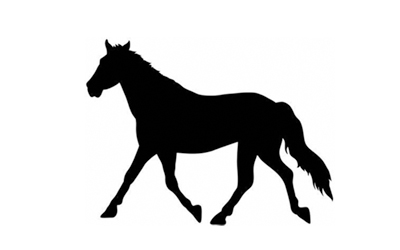 2007: Lawsuit for $233 Horse Against Jesse James Rediscovered