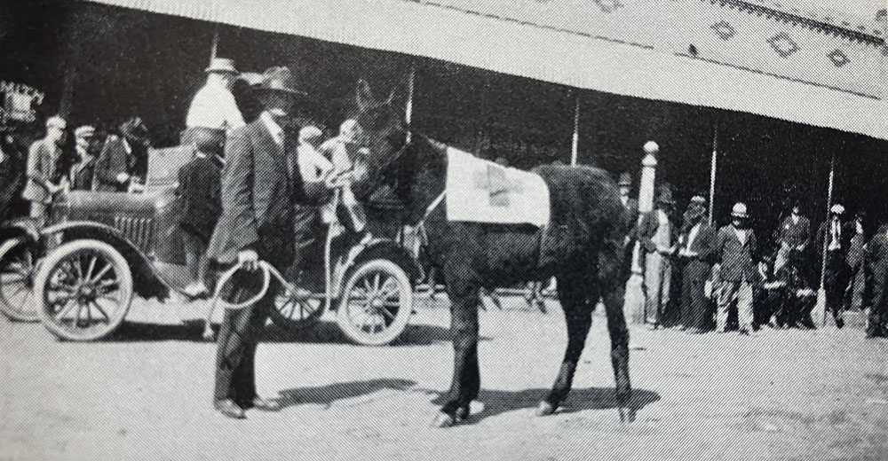 Coffey Centennial (1856-1956): Coffey Colt Show