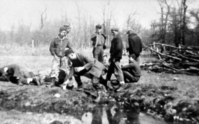 Great Depression: Reforestation Program to Tame the Grand River