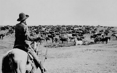 Pioneers: Earliest Cattle Drive in Daviess County Recorded in 1819