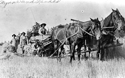 A Statistical Description of Daviess County, MO, in 1900