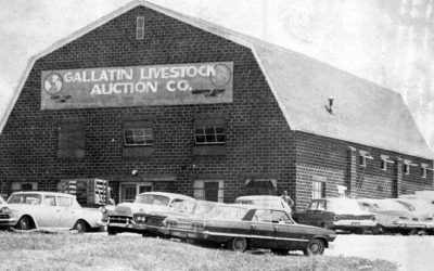 1950: Gallatin Livestock Auction Opens for Business