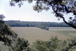 Valley at Adam-ondi-Ahman 1963