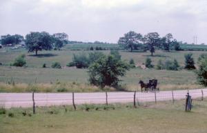 Amish on Roadways