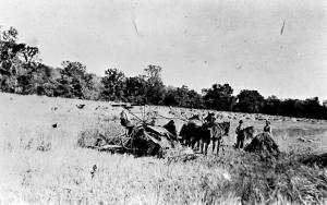 Yesteryear Agriculture in Daviess County, MO
