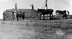 Yesteryear Agriculture in Daviess County, MO