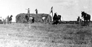 Yesteryear Agriculture in Daviess County, MO
