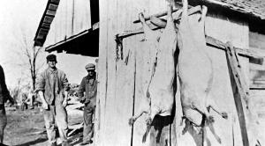 Home Butchering a Familiar Skill