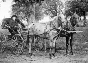 Old Time Photograph