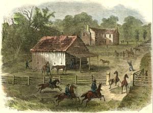 Guerrillas Seizing Horses