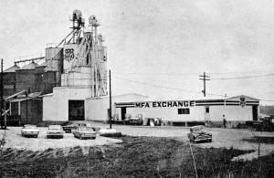 Gallatin MFA Exchange