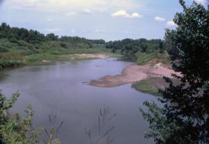Grand River in summertime