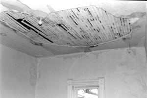 Interior Ceiling Damage