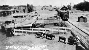 Stockyard at Jamesport, MO