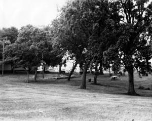 Parks  Festivals - Park Dockery looking north