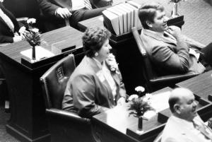 Jameson Native Beth Wheeler Elected to Statehouse