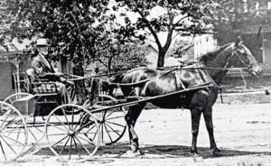 Horse and carriage transportation