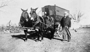 Horse Drawn "School Bus" for Altamont in 1936